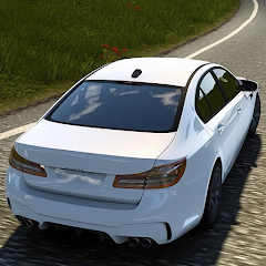 Car Driving Simulator 2024 Mod